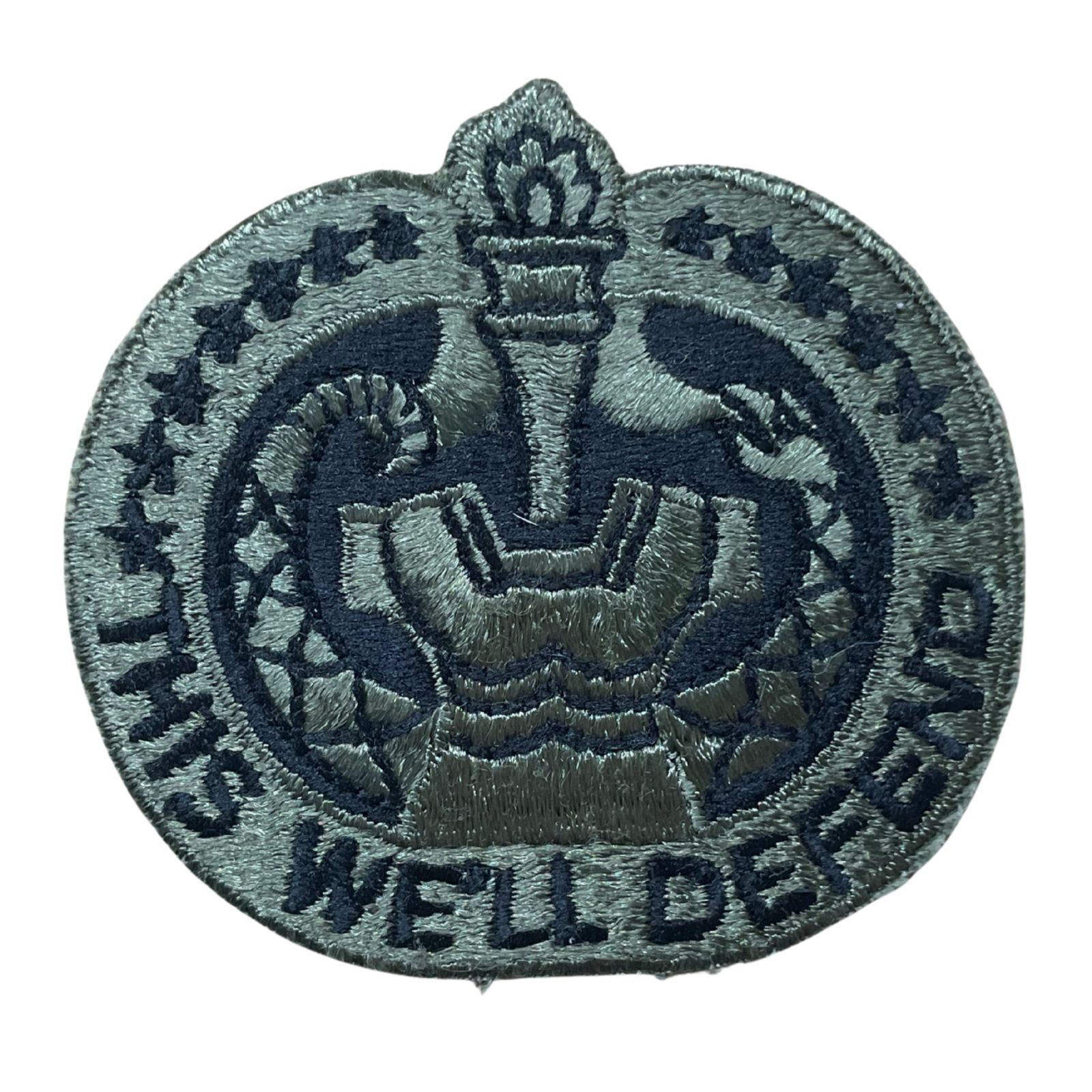 US Amerikai Drill Sergeant felvarró, eredeti csökkentett láthatóságú