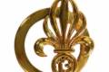 13e Demi-Brigade de Légion Étrangère (13. DBLE) - Arany