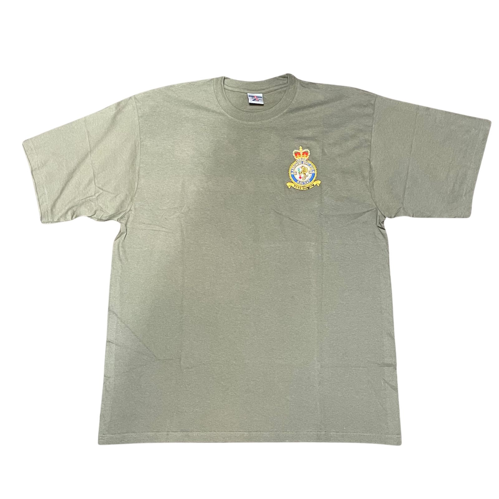 Brit hadi póló, Aeromed Evacuation Squadron – 4626 Squadron RAUXAF