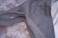 Carinthia Holland Katonai Gore-Tex Parka, Olív
